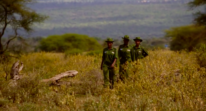 Im Herzen Massai - Kenias erste Rangerinnen - 1