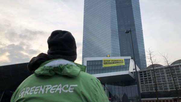 50 Jahre Greenpeace