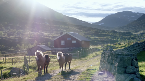 Mittsommer in Norwegen